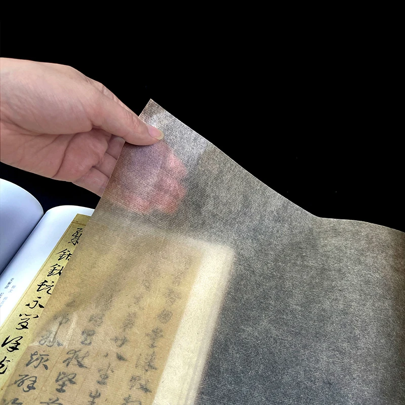 20 m chinesisches und japanisc – Art Craft In Paper Bewertung und Preis